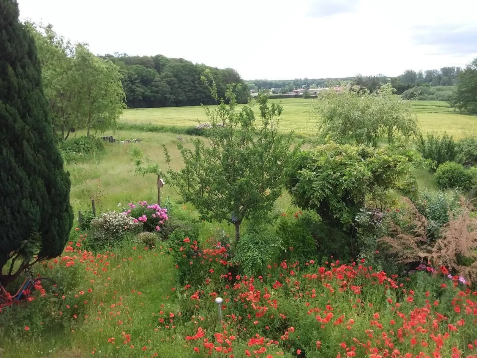 Schmetterling-Outside