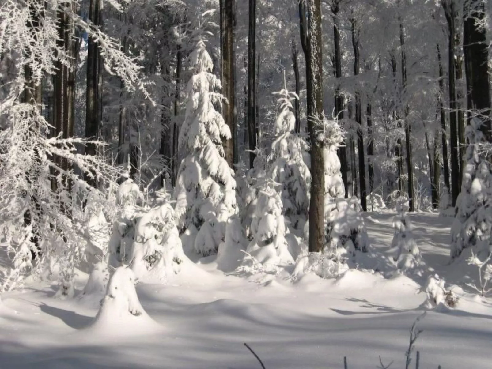 In Haschaberg mit Sonniger Terrasse-Outside