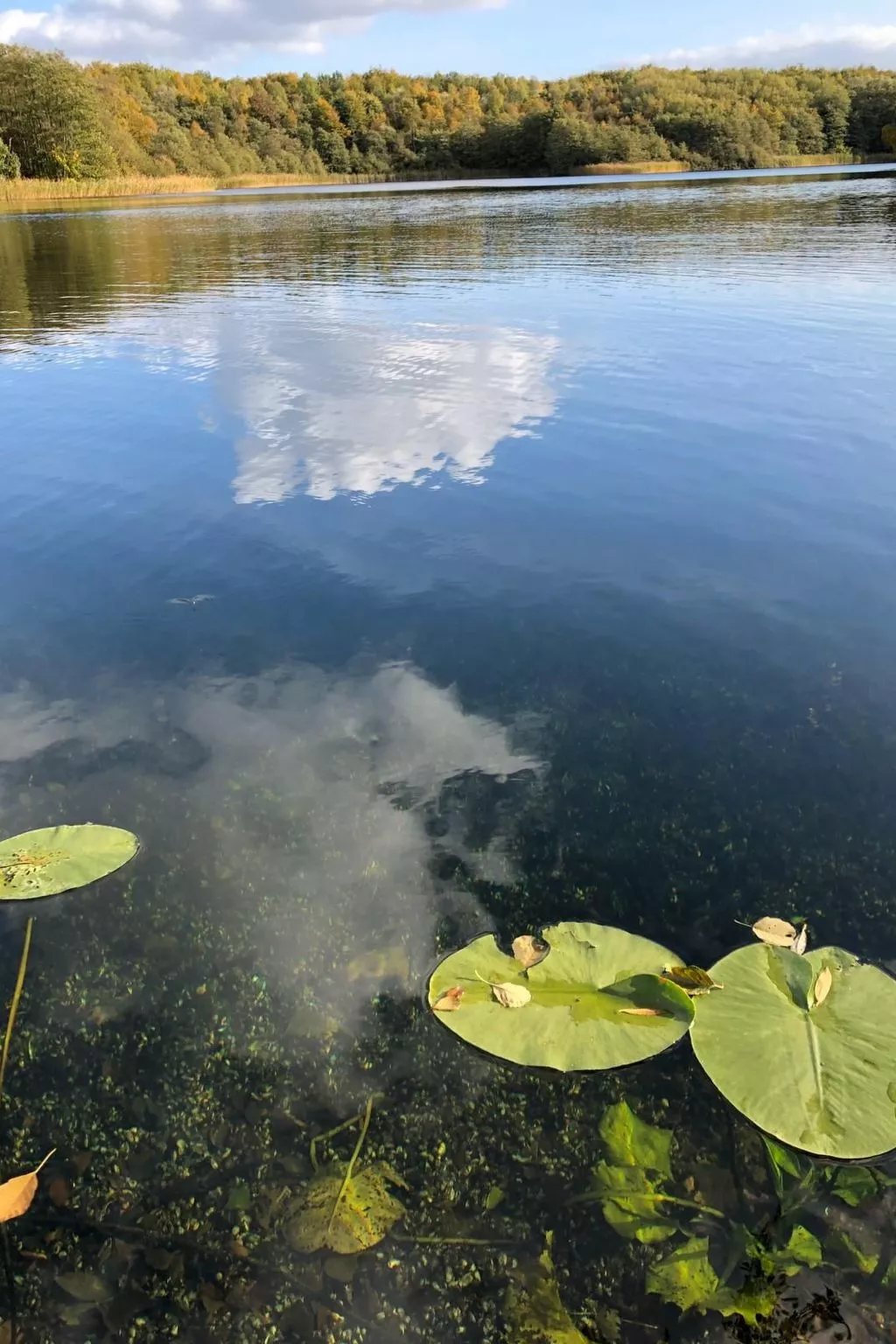 Schaalsee - Auszeit-Outside