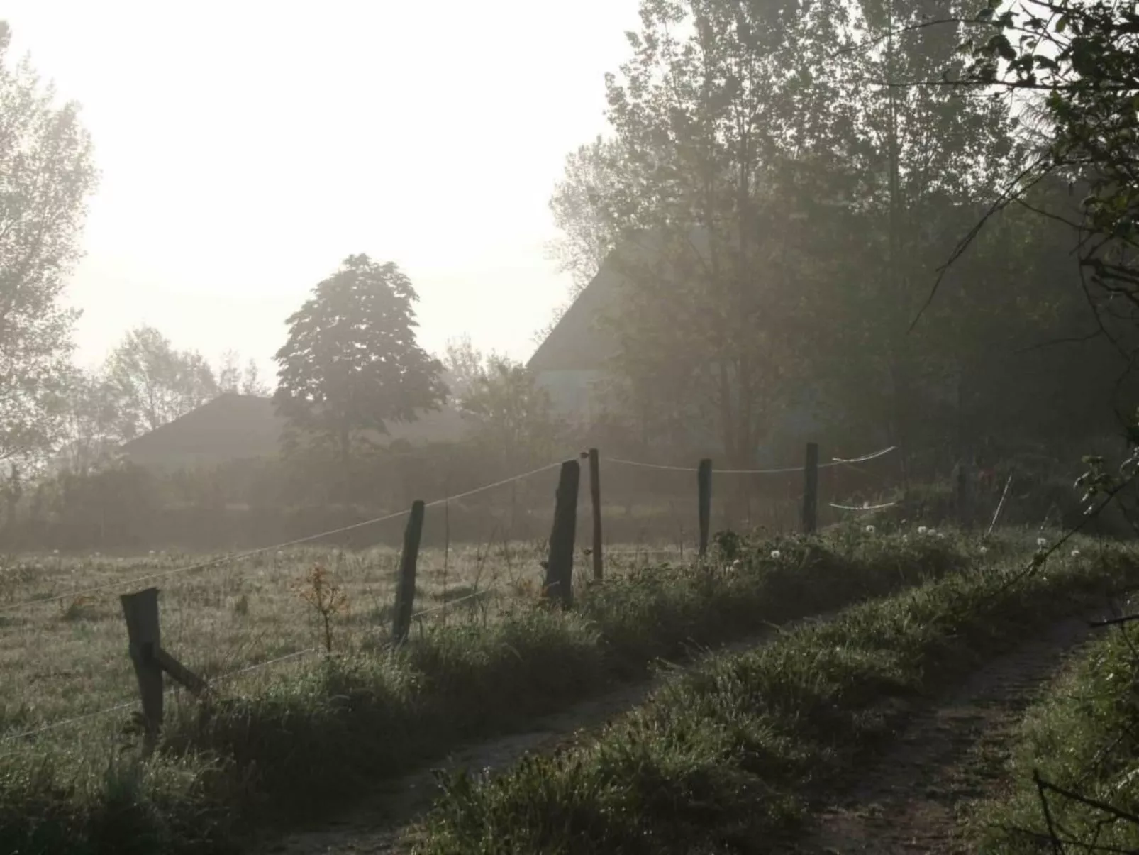 Hof Rodenkrog Fewo 1-Image-tags.info