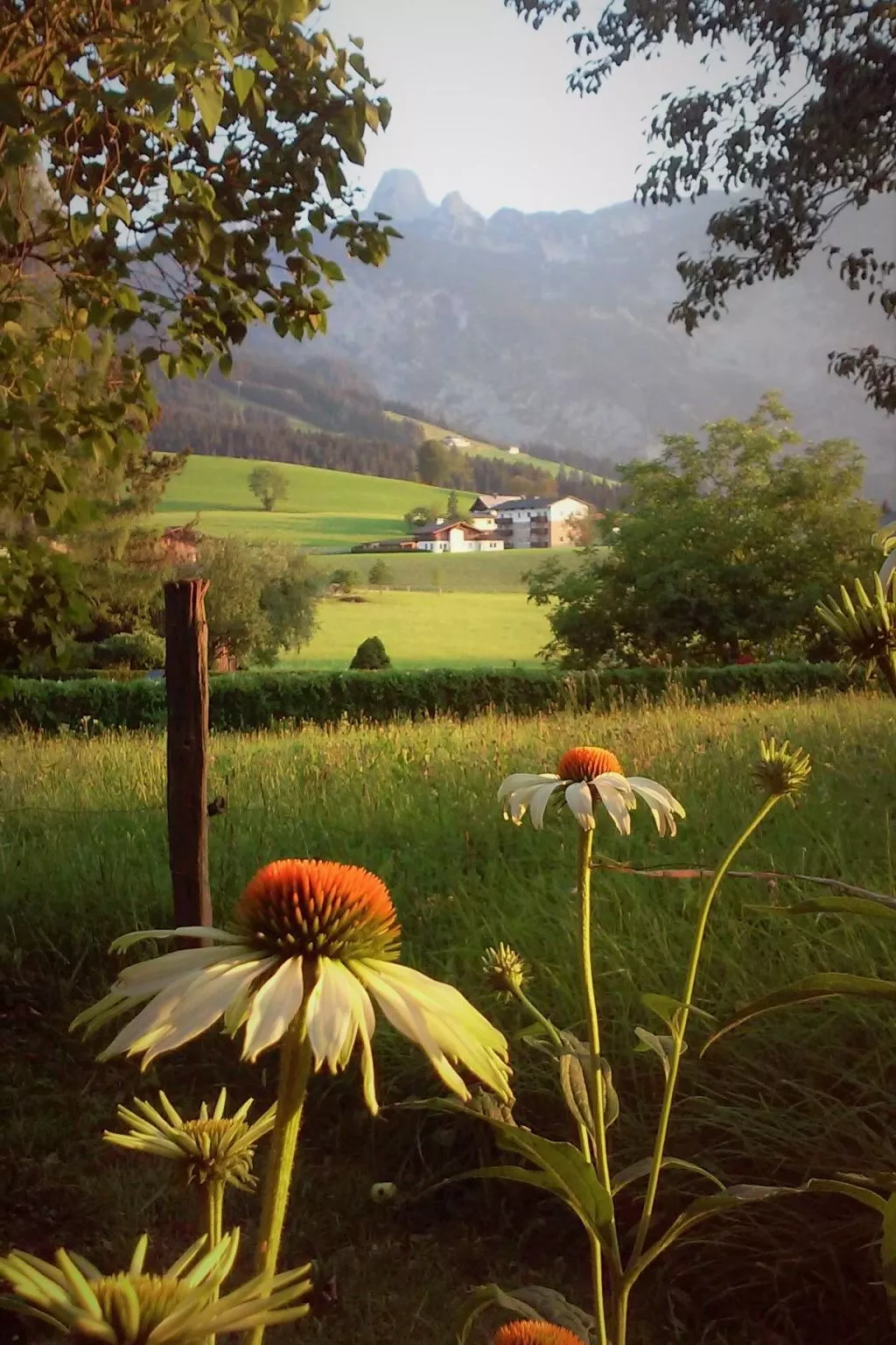 Gsenger Natur in Abtenau-Draußen