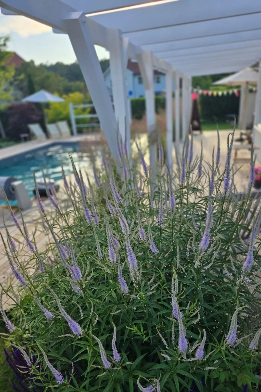 Villa Kungsstrand in Trosa-Outside