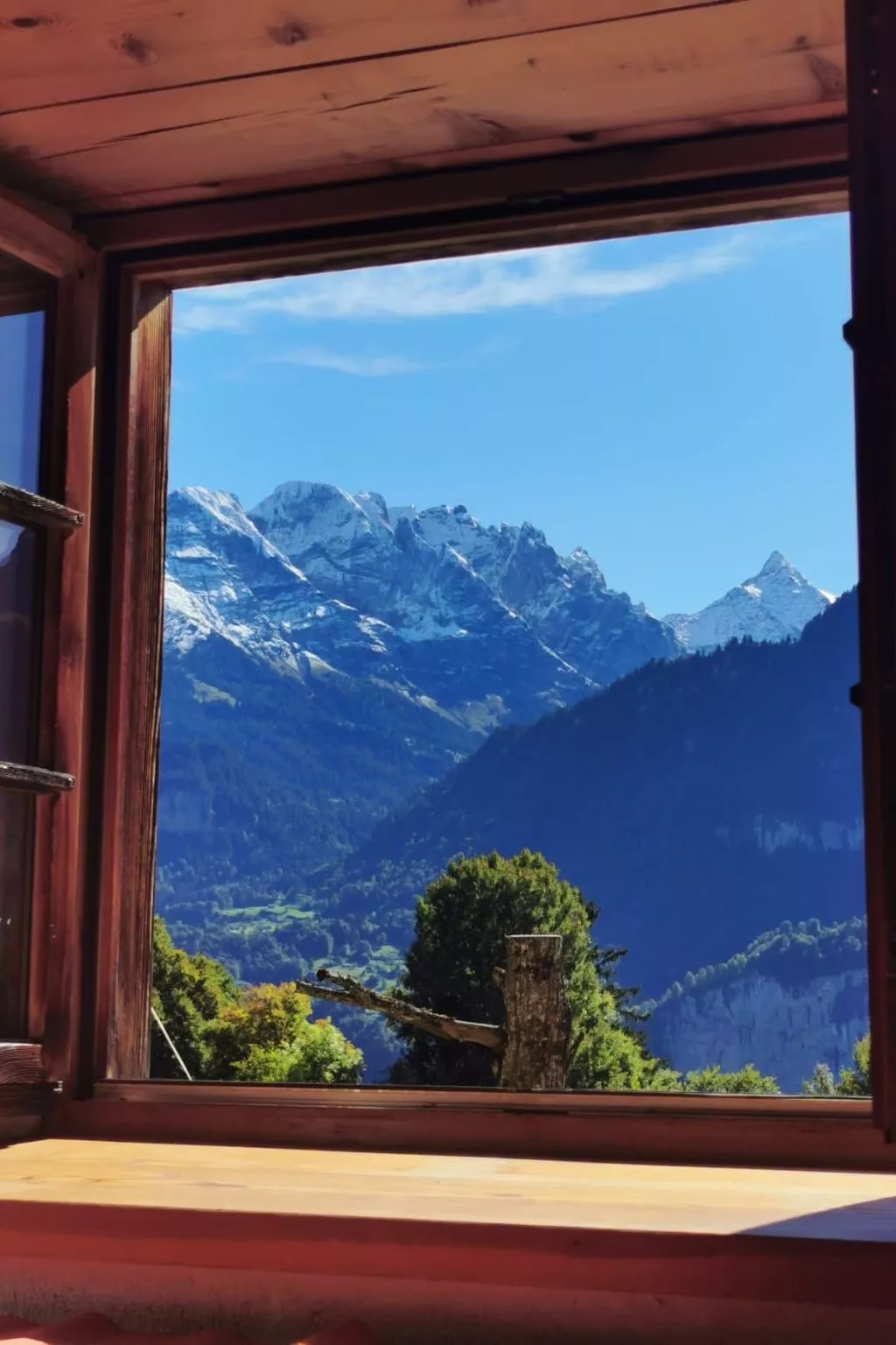 Rauft-Image-tags.info