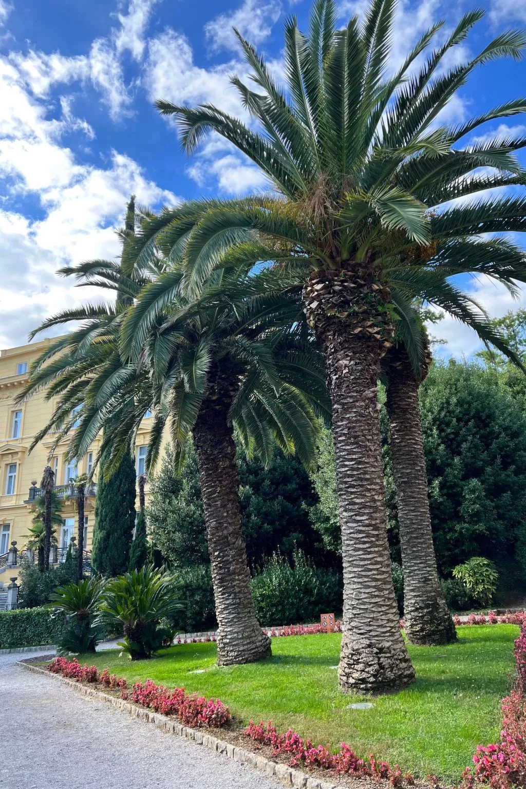 Appartement mit Terrasse-Draußen
