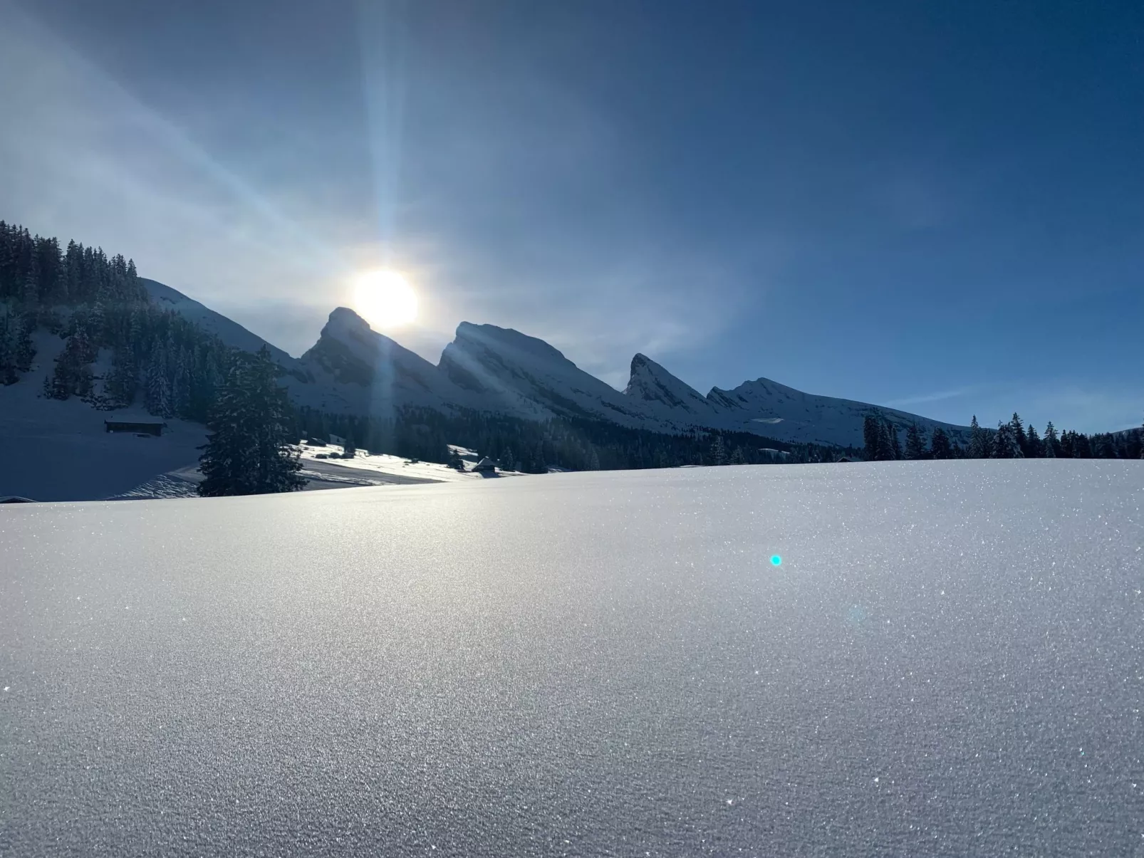 Studio alte Schmiede-Outside