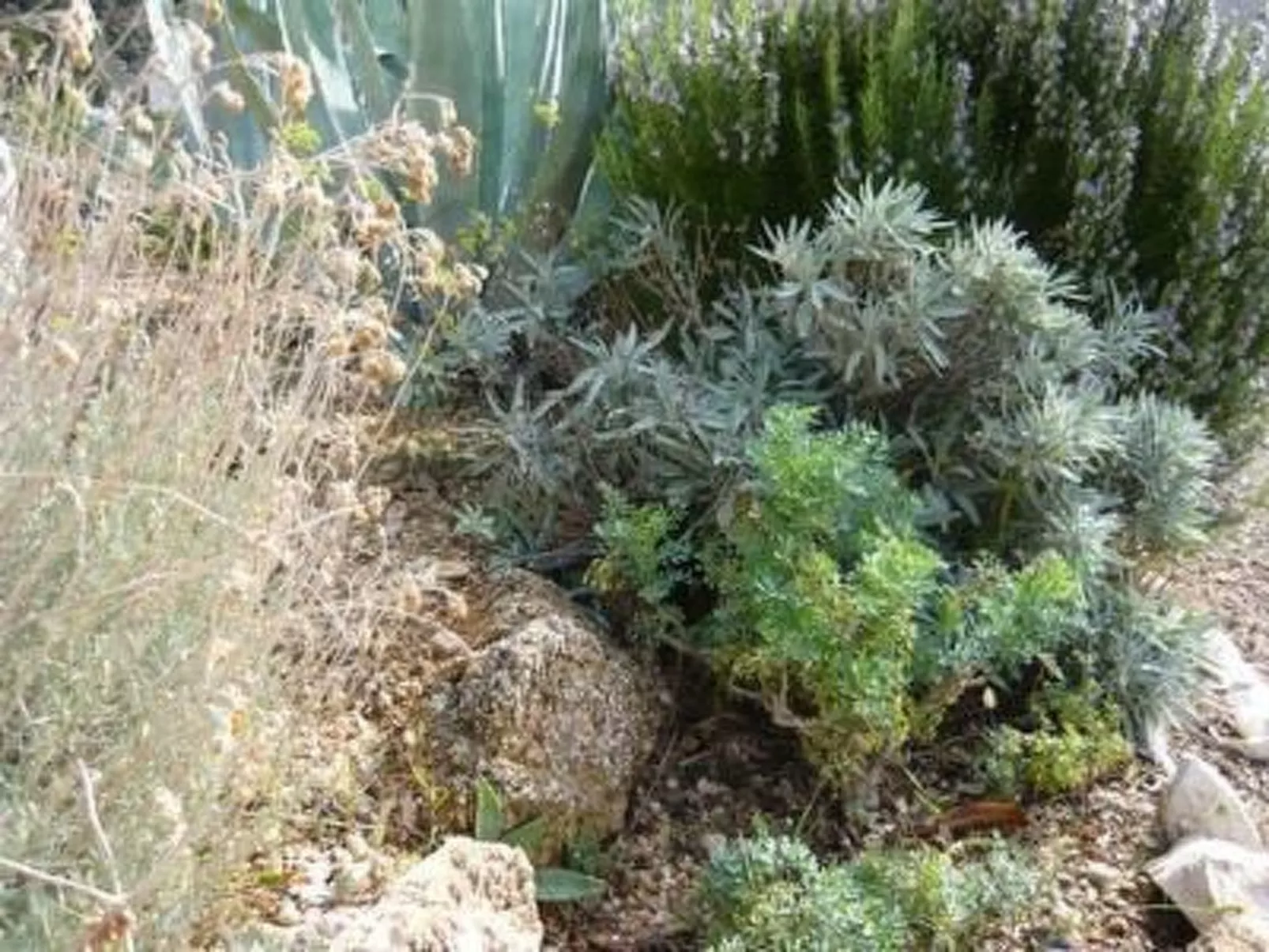 Jadro Apartments in Barbat mit Grill und Whirlpool-Outside