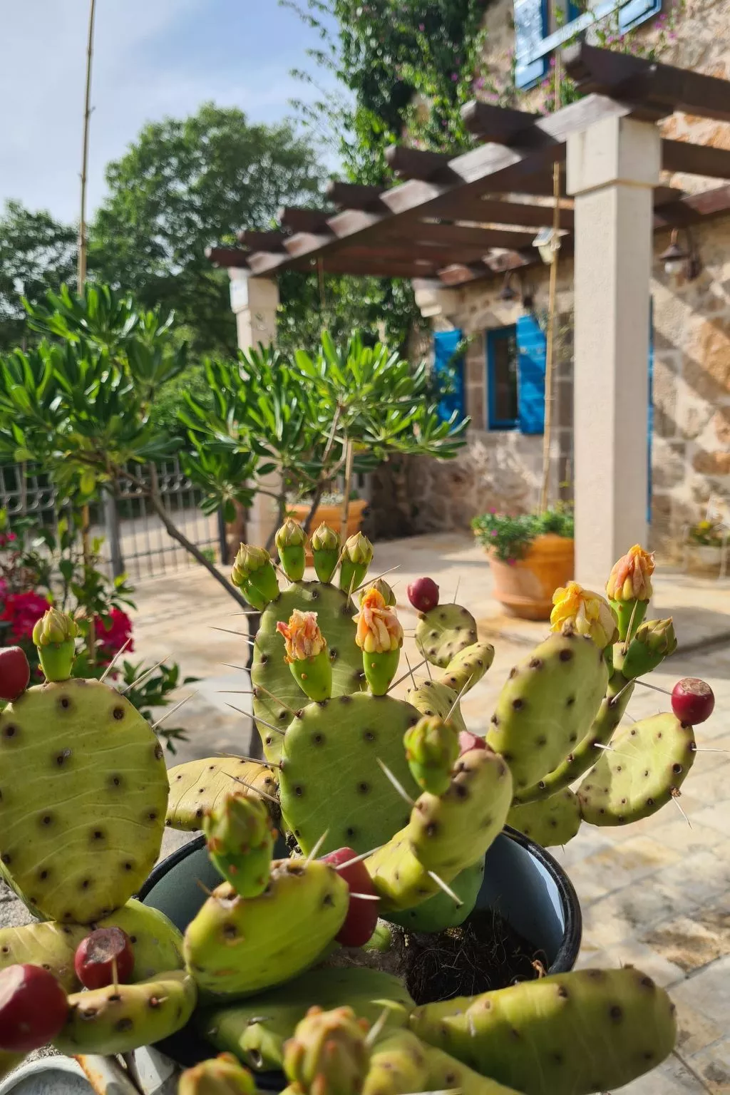 Altes Steinhaus Goranova Kuca-Dehors