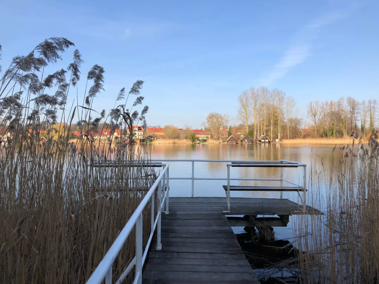 Klosterwald-Draußen