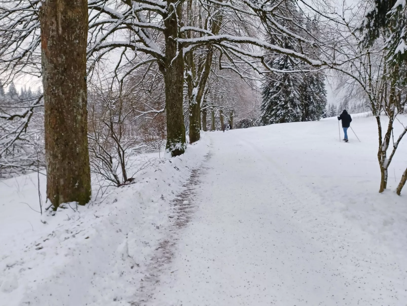 Walli OG Hahnenklee-Outside