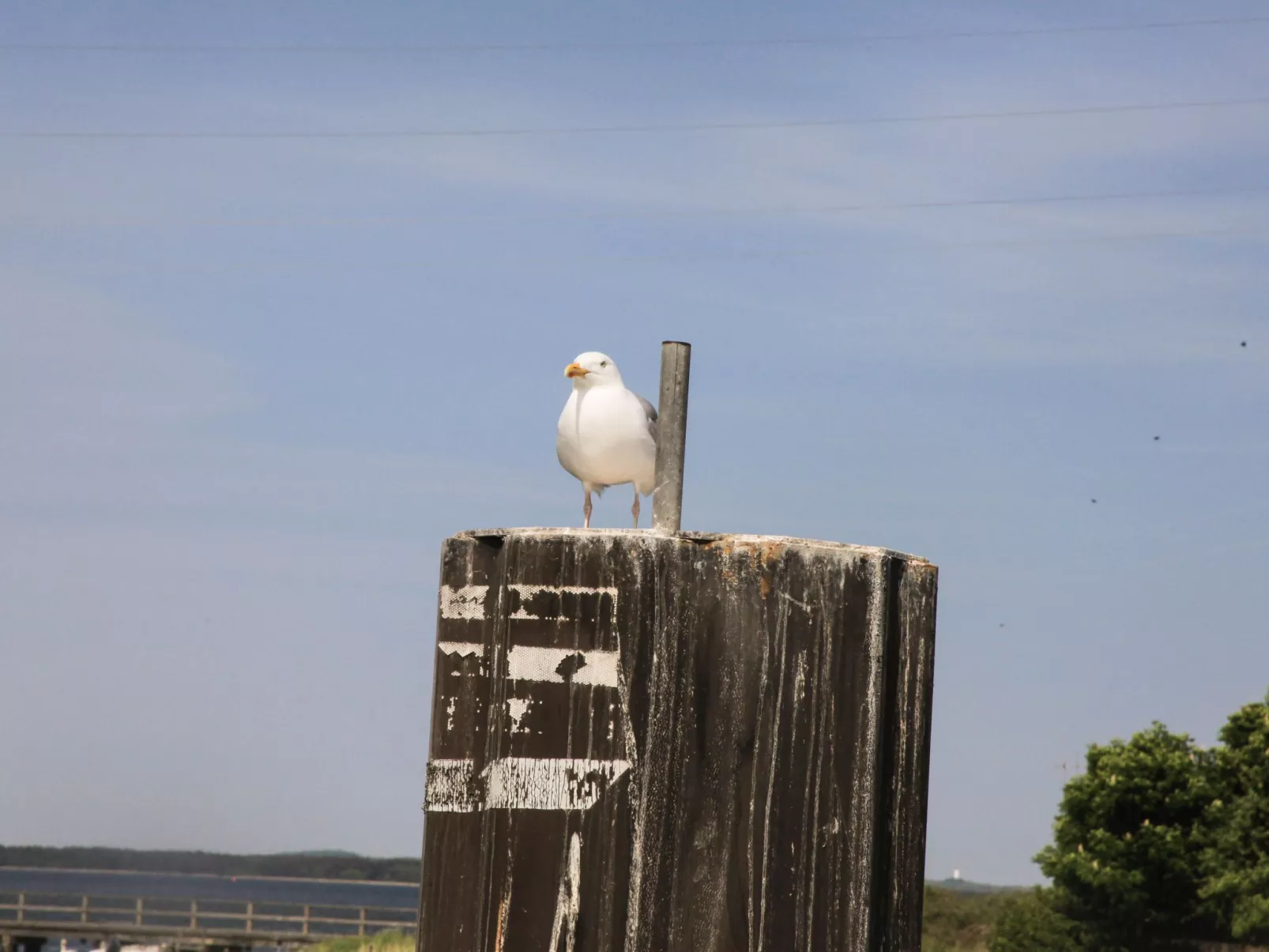 Ostseebrandung in Dranske-Dehors