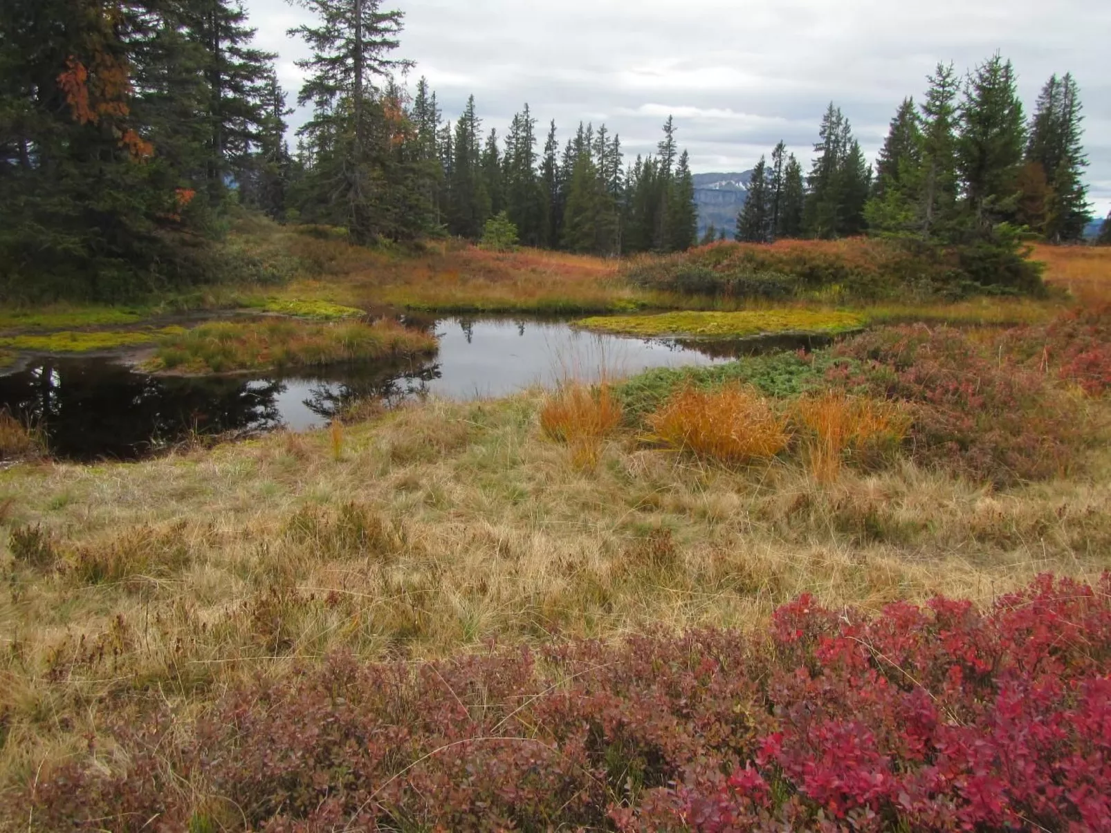 Mit Hallenbad-Outside