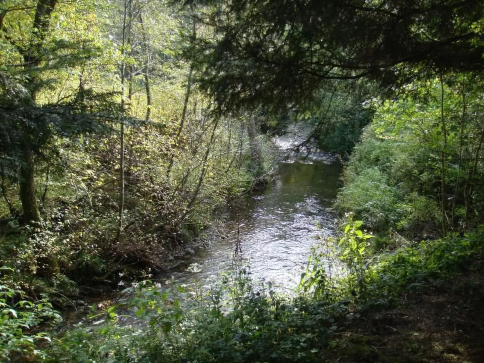 Altes Forsthaus-Draußen