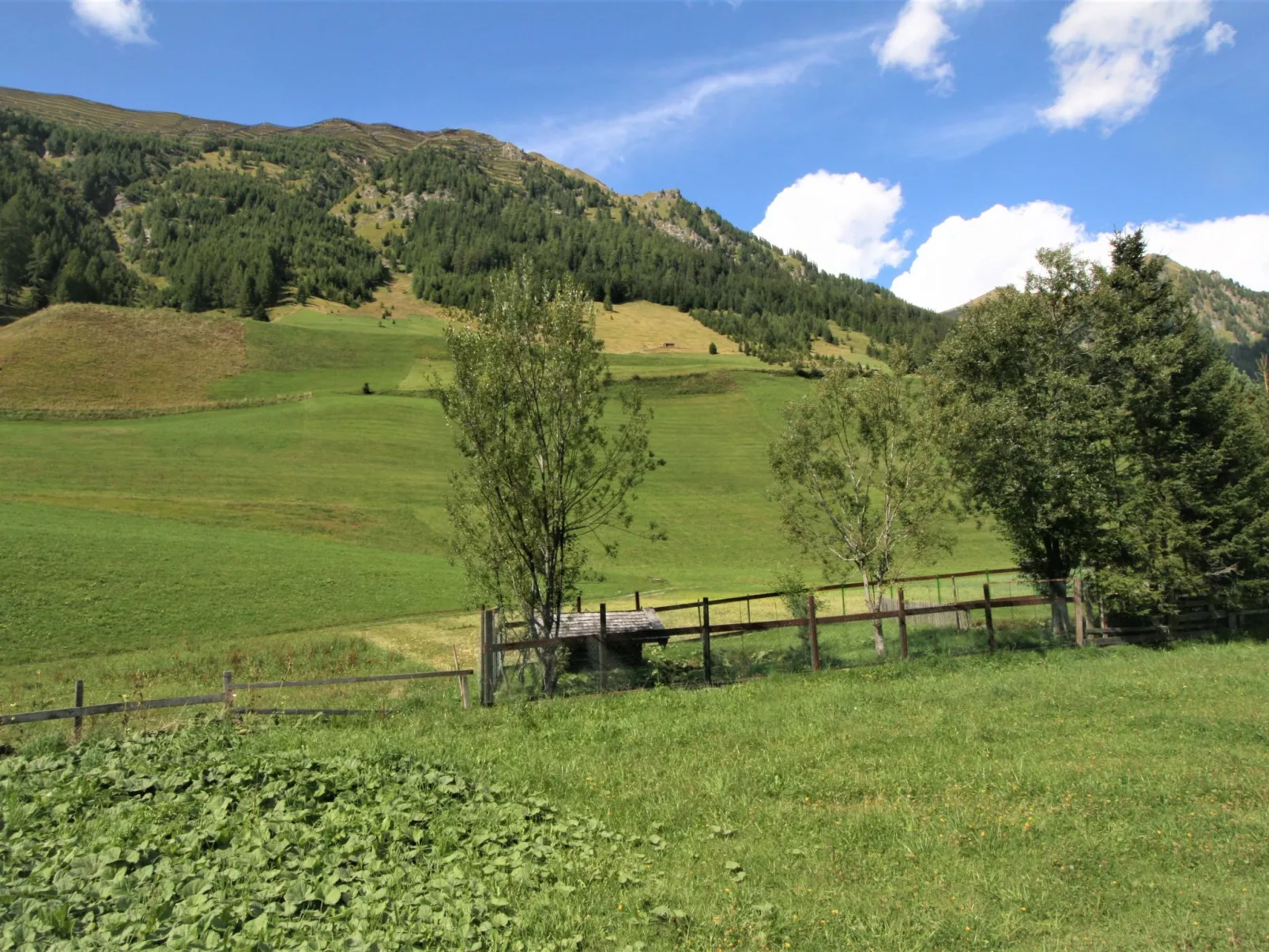Mit Schwedenofen und großer Terrasse-Environnement