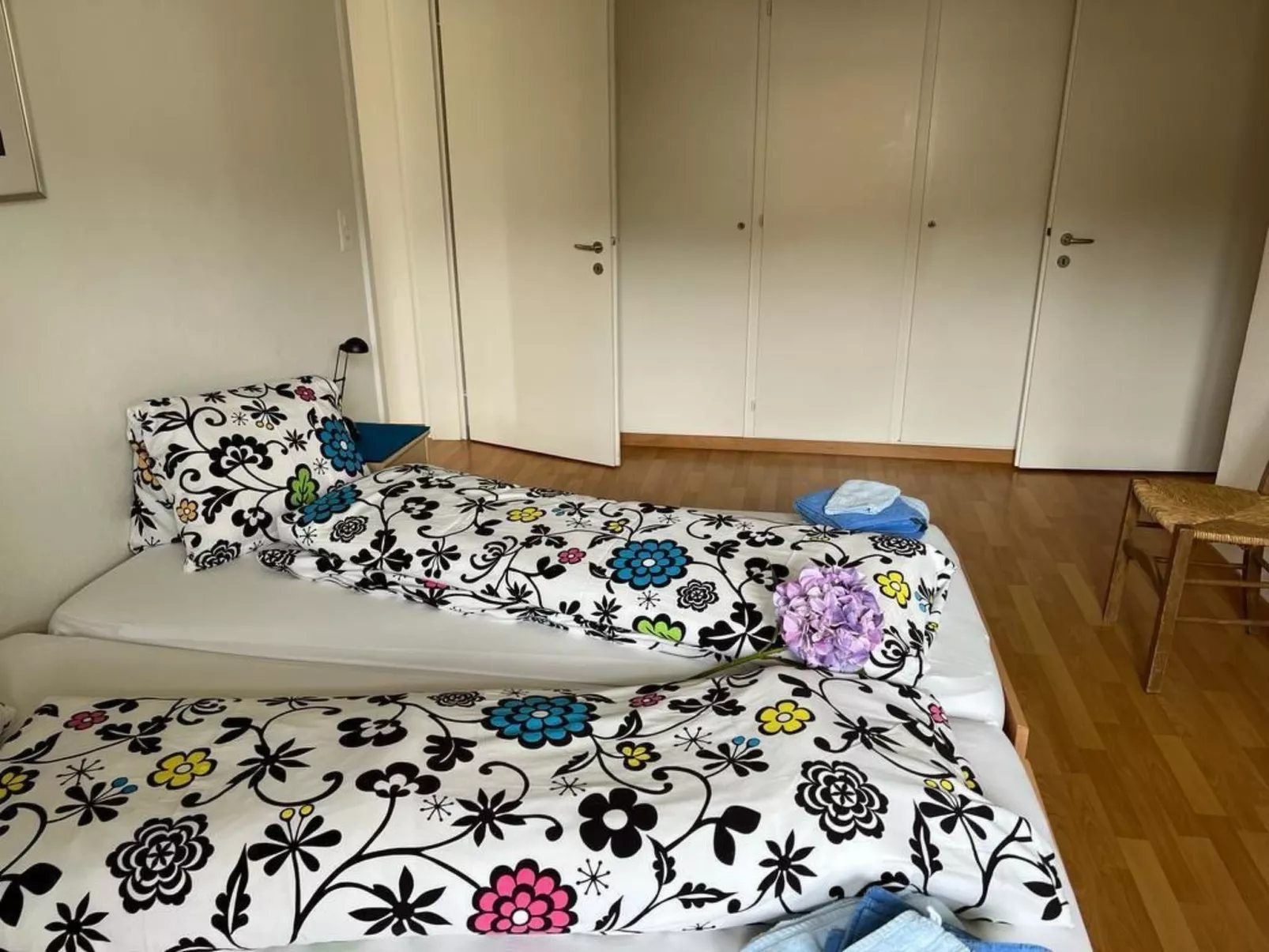 Carina 5 - Image-tags.info