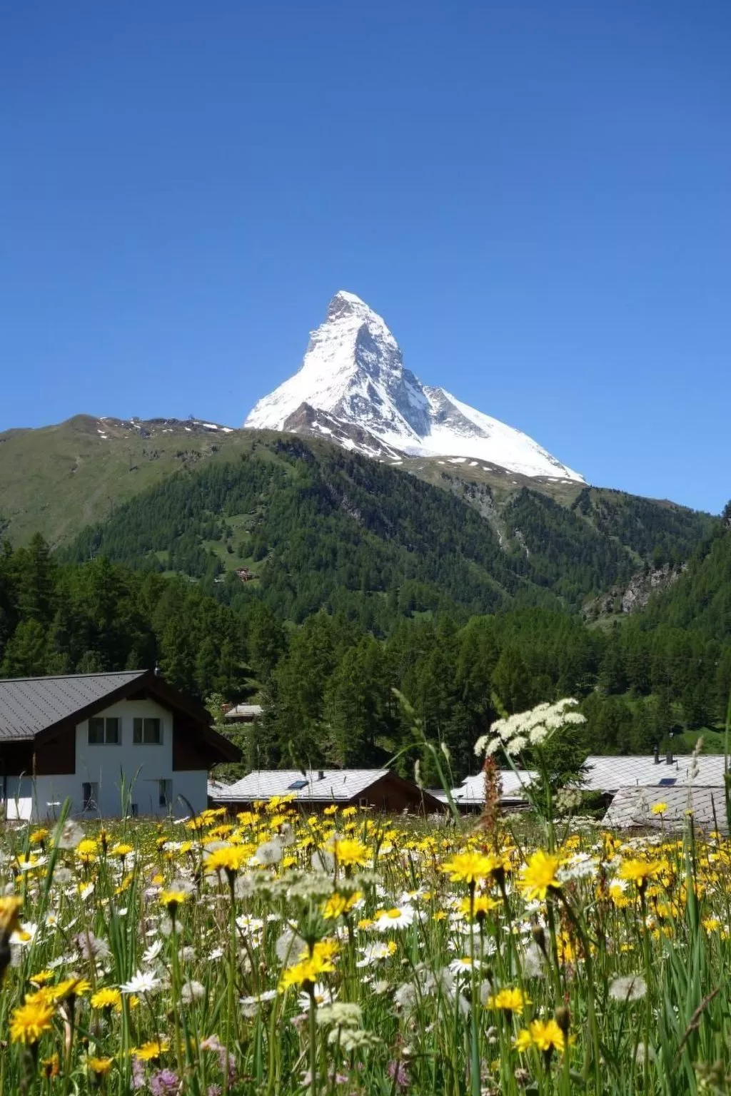 Studio mit traumhaftem Blick auf das Matterhorn-Dehors