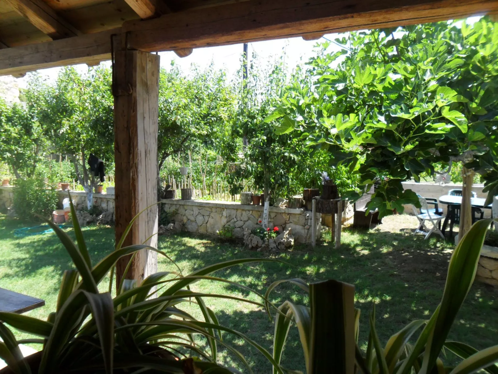 Wohnung Delfin mit Meerblick - TA Leut Agency-Dehors