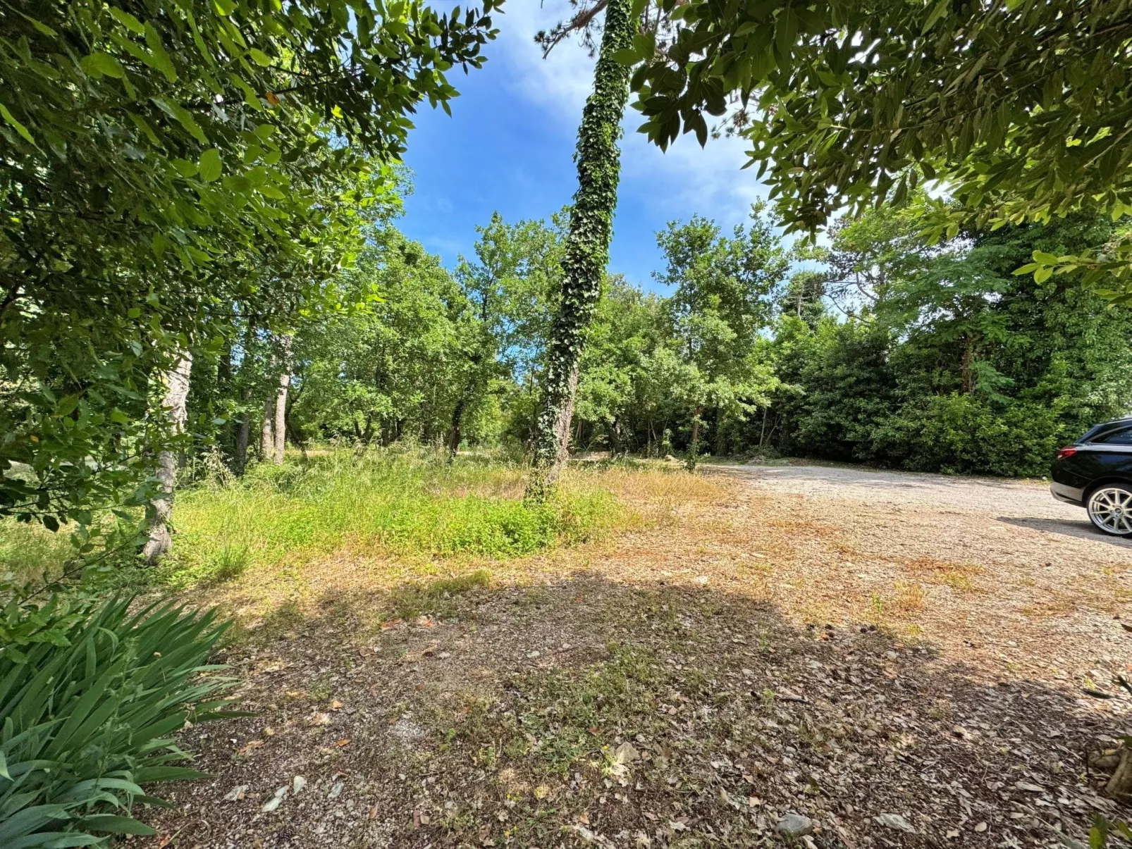 Apartment Scheich-Dehors