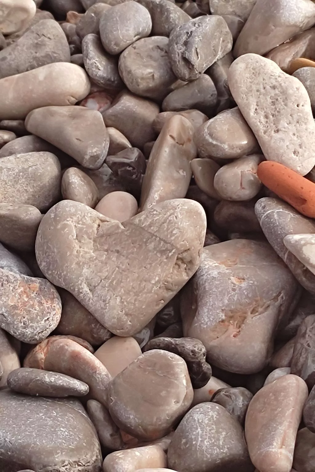 Frankopan Studio-Image-tags.info