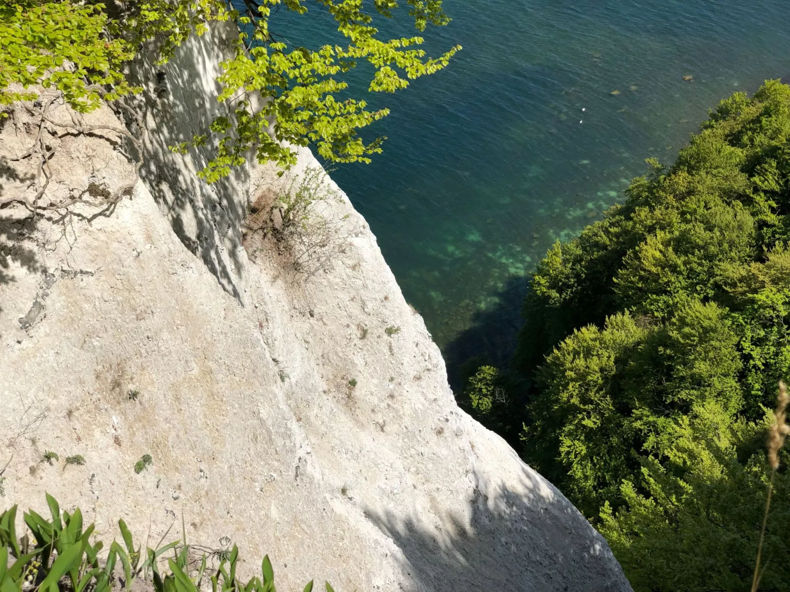 Dat Lütje 516-Outside