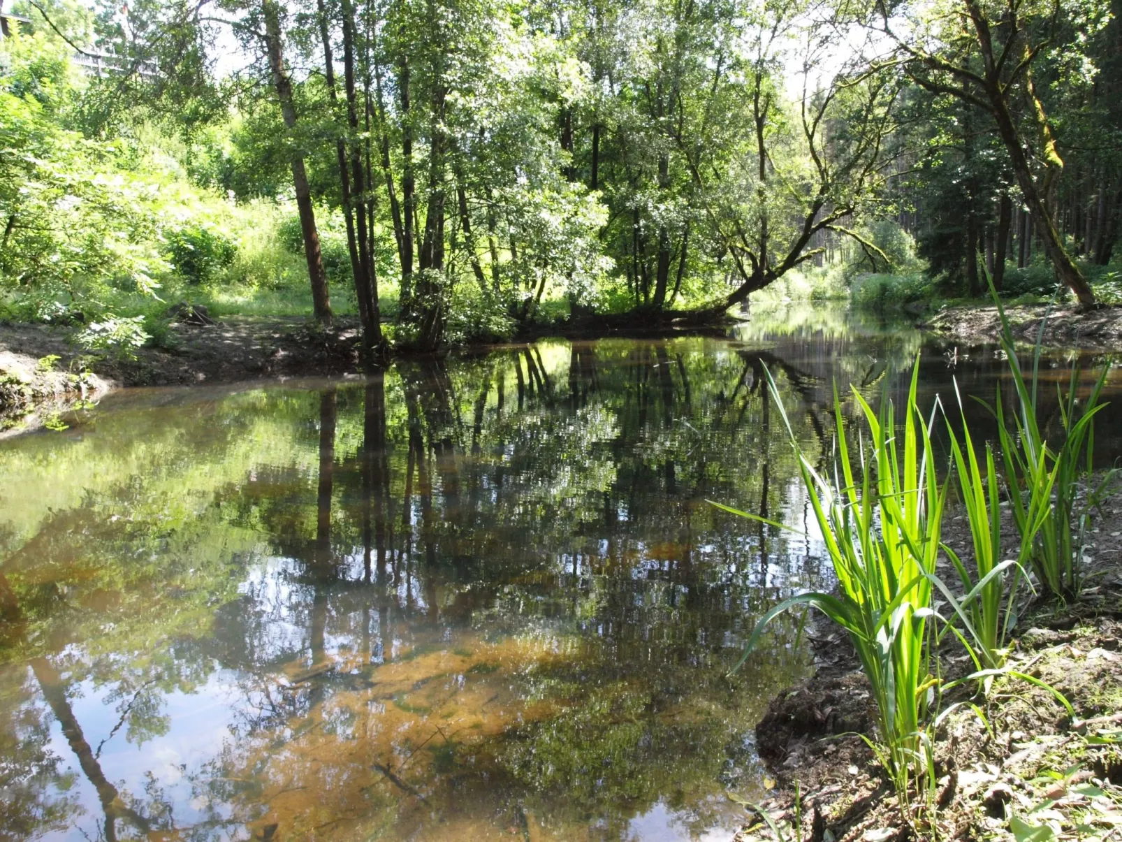 EXCLUSIVE FERIENWOHNUNG MIT EIGENER SAUNA-Draußen