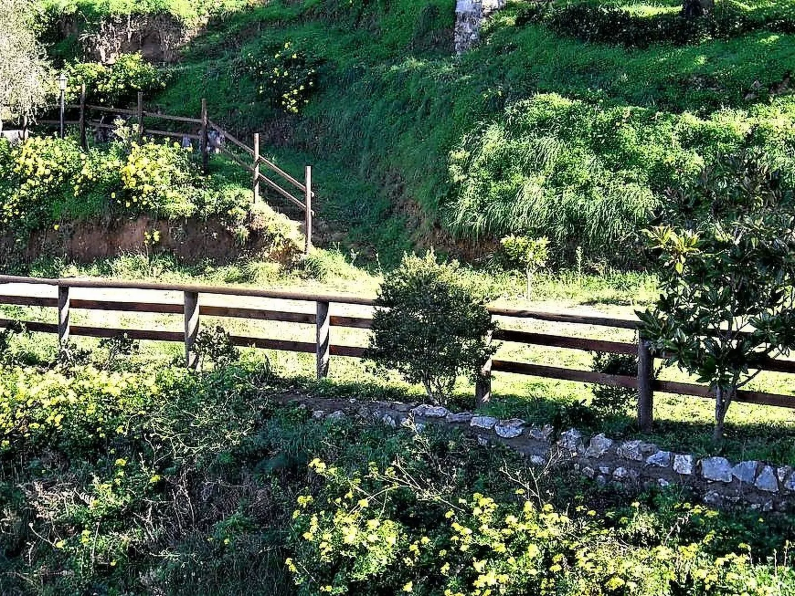 Granatapfel-Wohnung-Image-tags.info