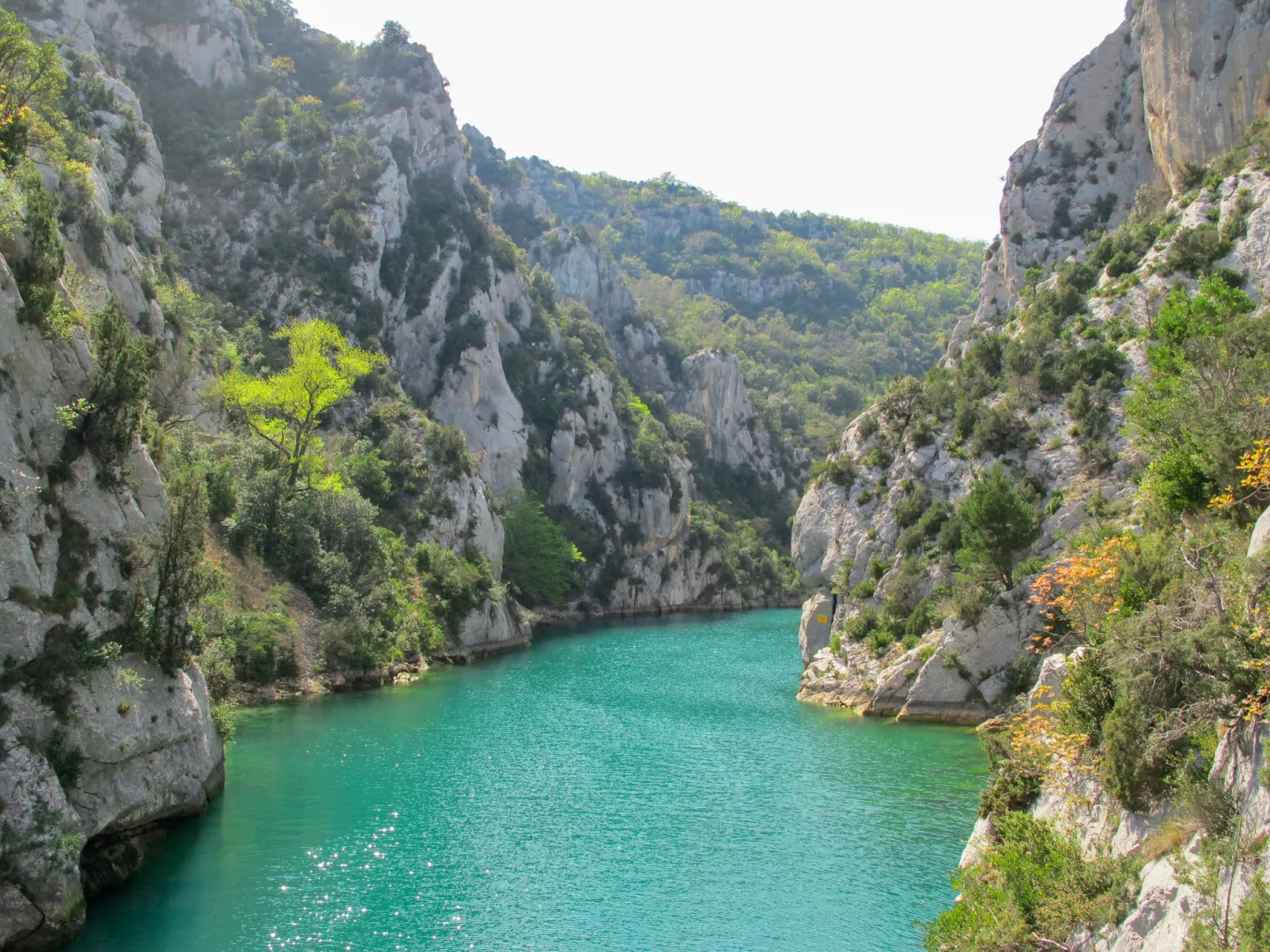 "Limounie" mit Terrasse-Area
