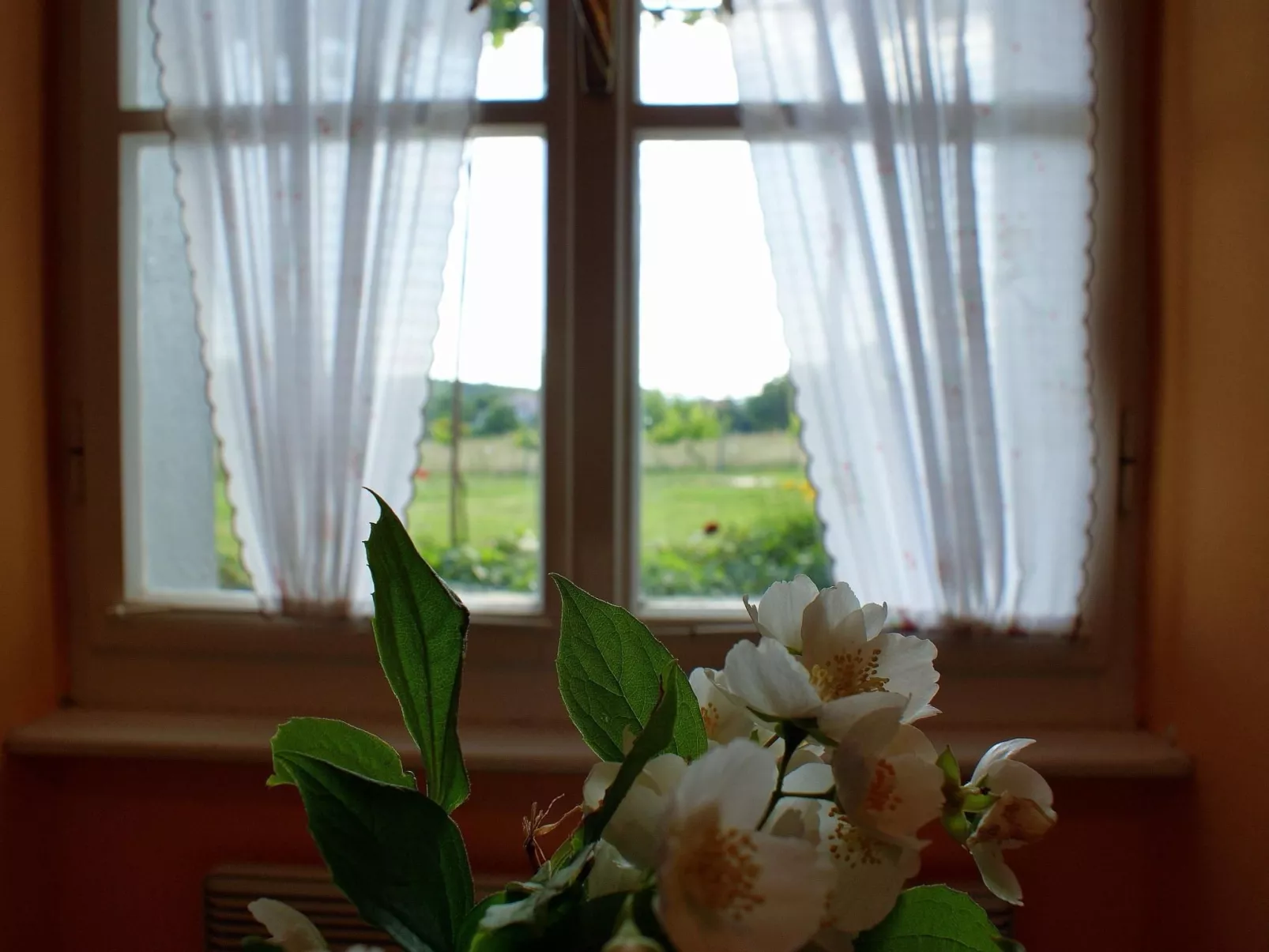Freistehendes Haus Violeta mit weitläufigen Garten-Drinnen