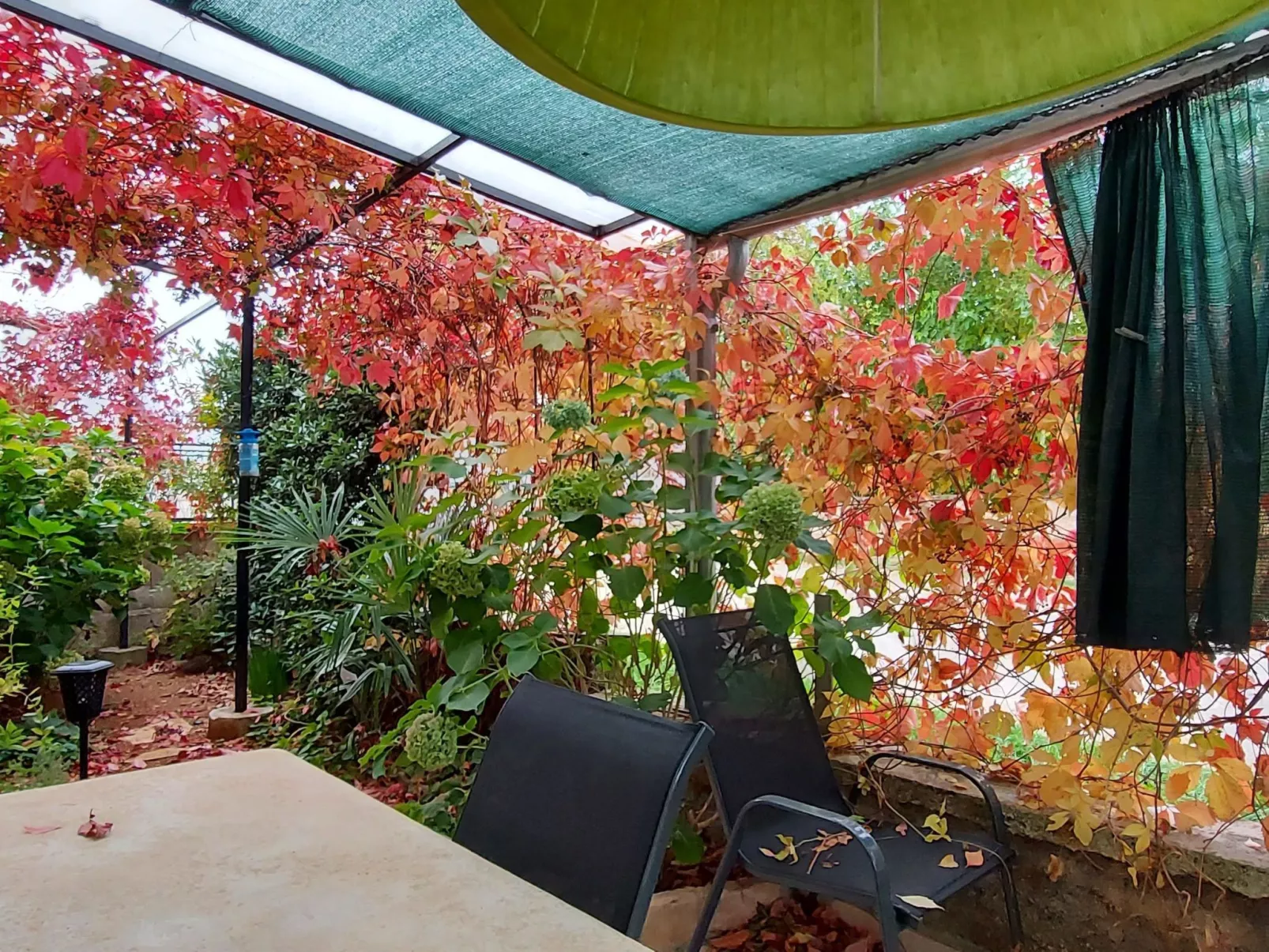 Appartement de vacances "1 Eti und Mia Haus"-Outside