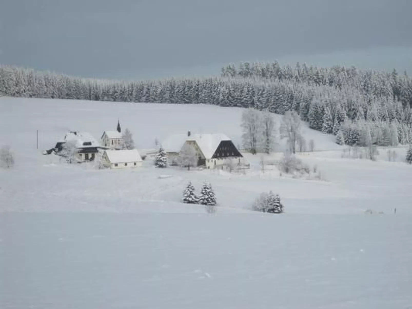 Appartement mit Garten in Schwärzenbach-Image-tags.info