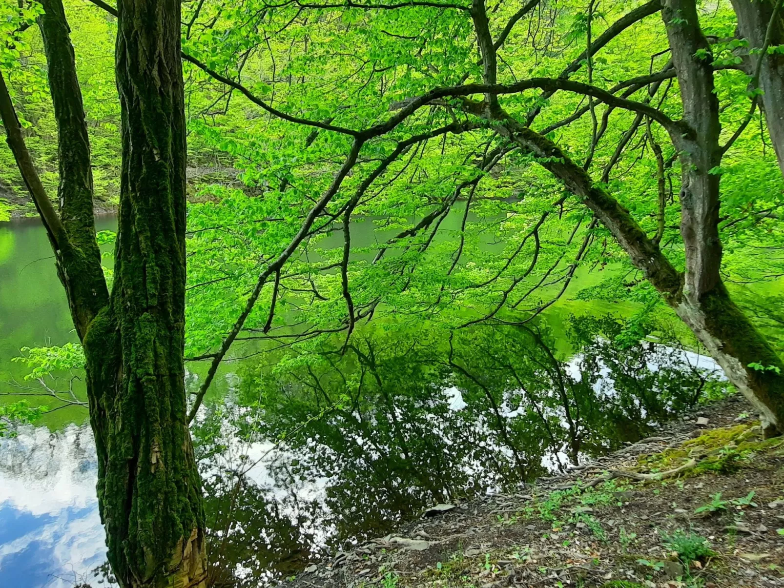 Gartenblick in Vöhl-Basdorf-Dehors