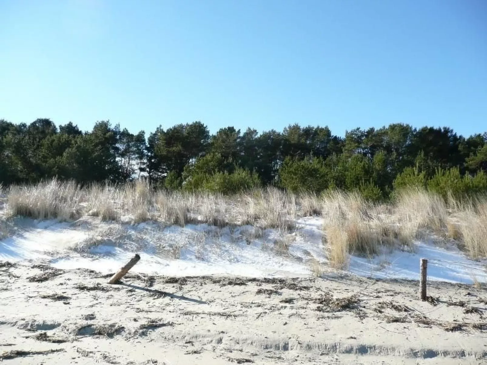 "Haus zum Kapitän"-Draußen