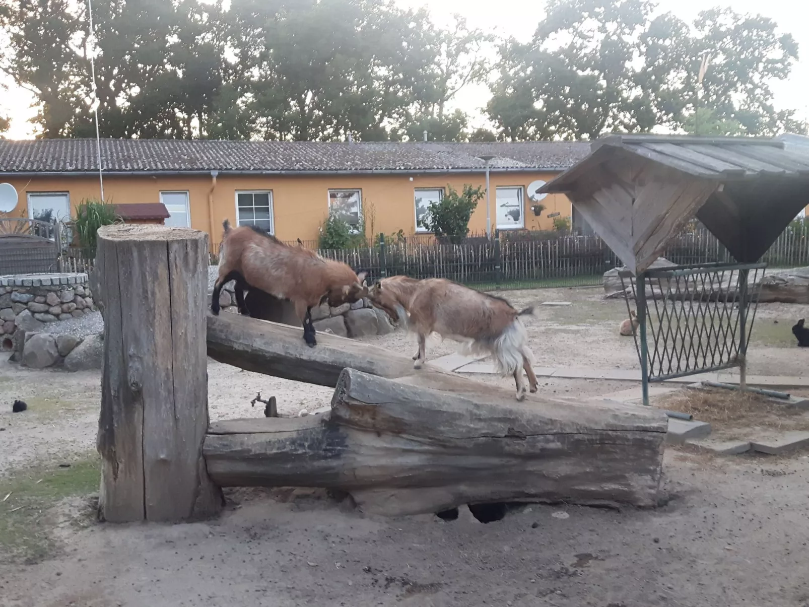 Schönes Schwedenhäuschen-Outside