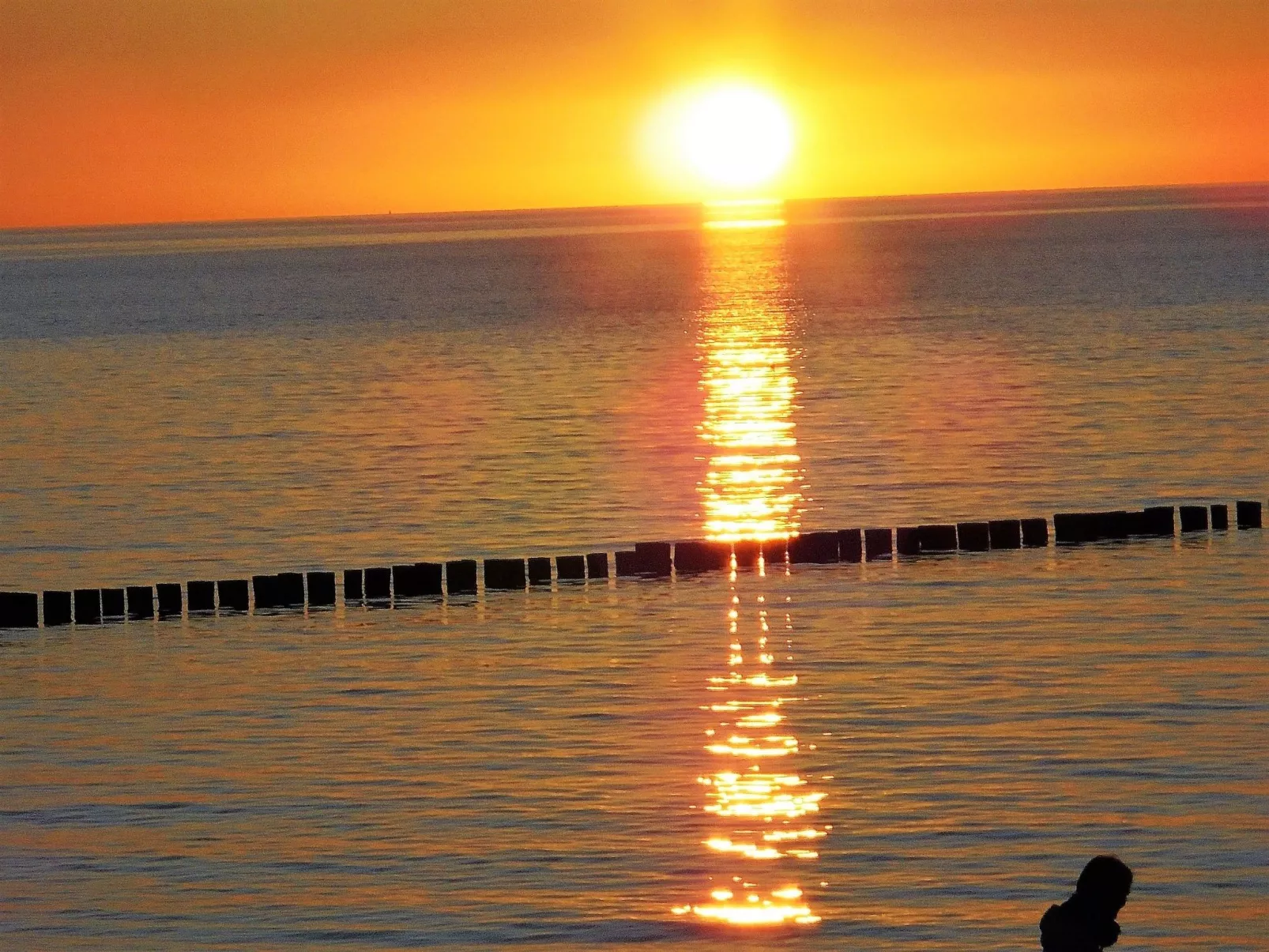 Kleine Ferienwohnung mit Garten und Terrasse-Draußen
