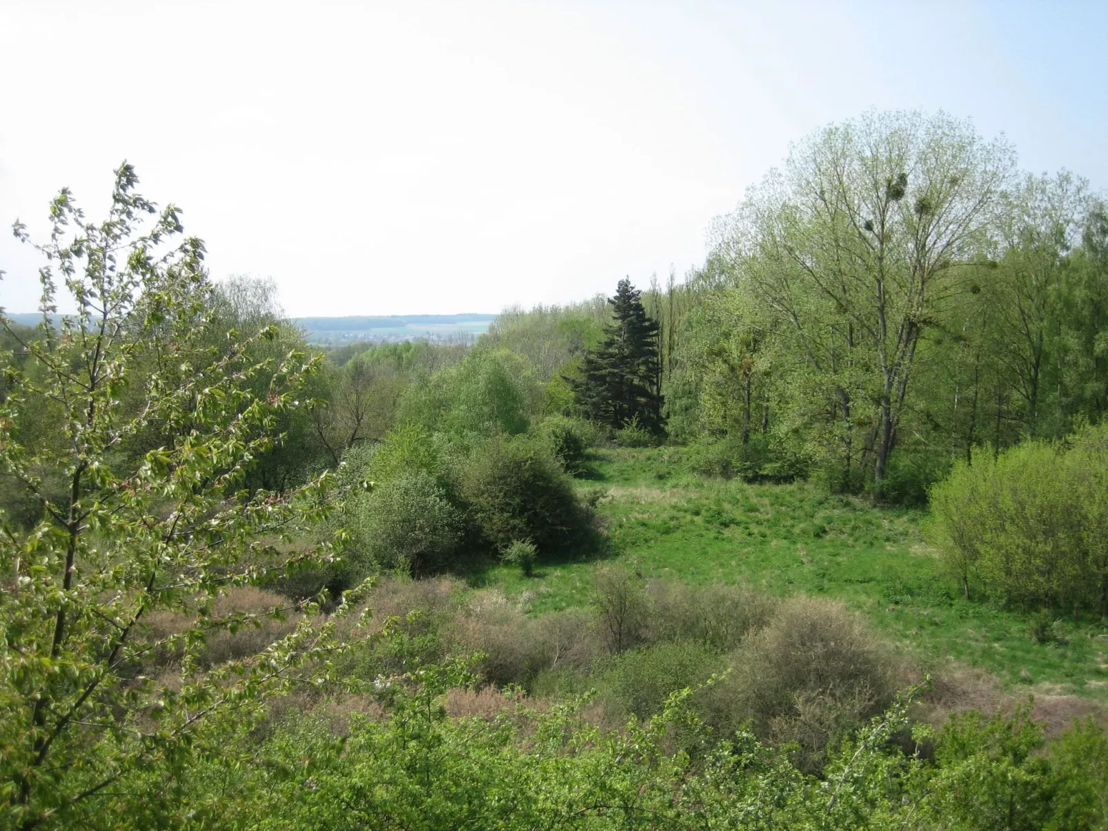 Mit Hot Tub-Draußen