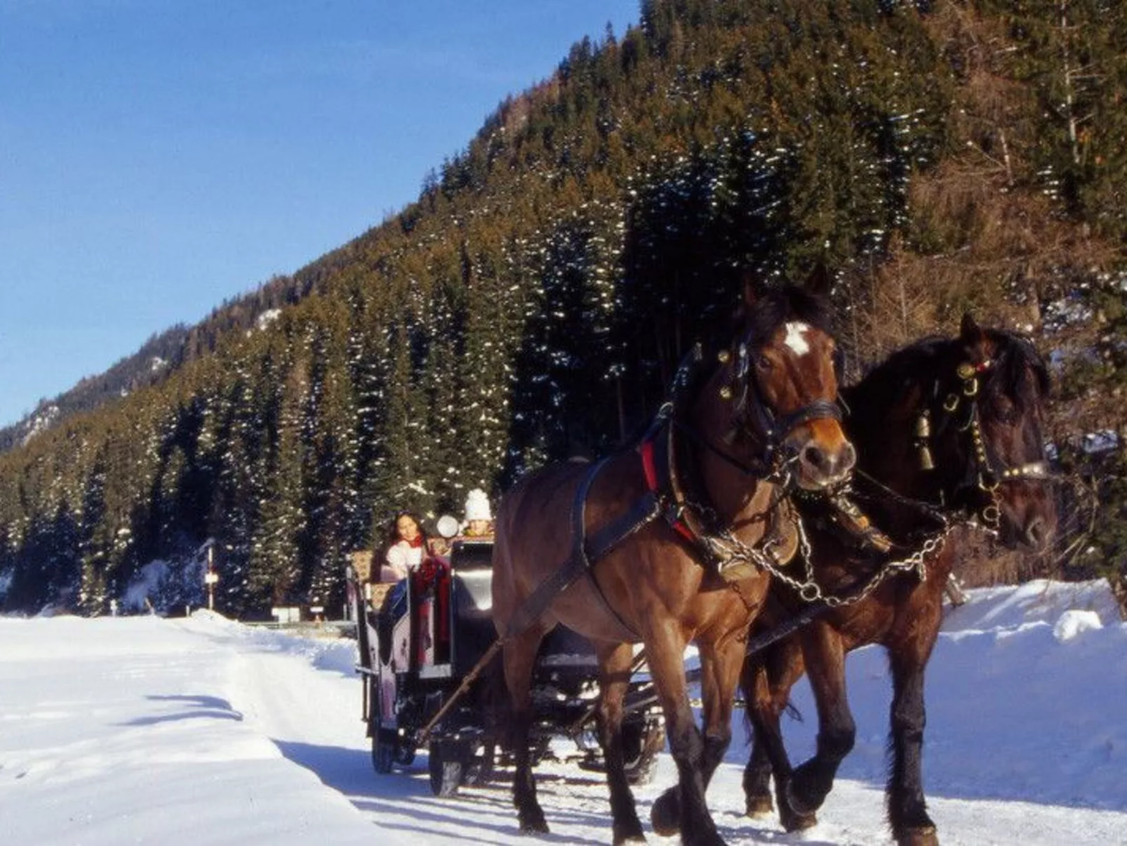 Appartement Gartenblick-Dehors