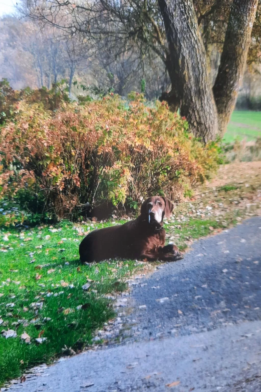 "Leuchtturm"-Draußen