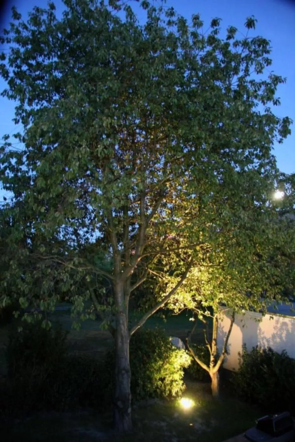 In Groß Schwansee mit Offenem Kamin-Dehors