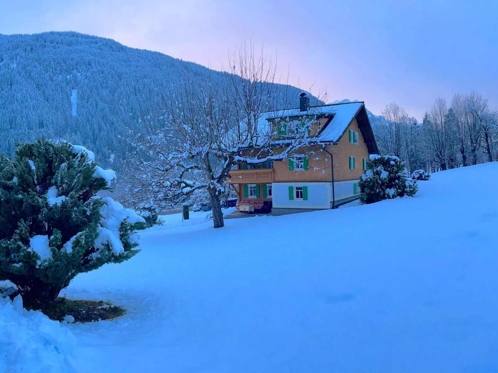 Montafoner Bauernhaus in Gortipohl-Outside