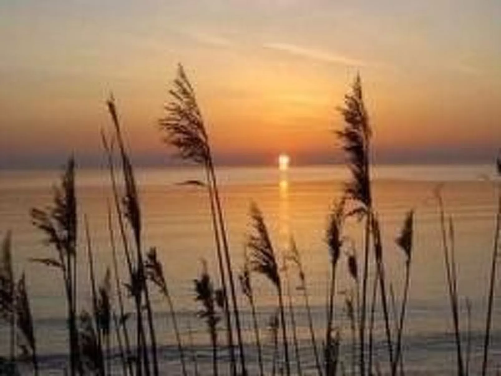 Gemütliches Ferienhaus Sjöstugan am Meer-Outside