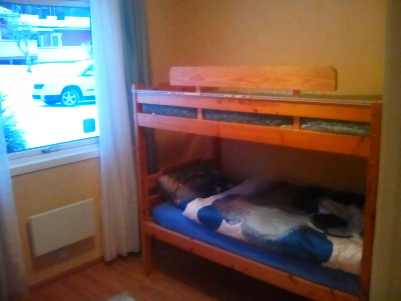 Tolles Ferienhaus in Sunne mit Großer Terrasse-Image-tags.info