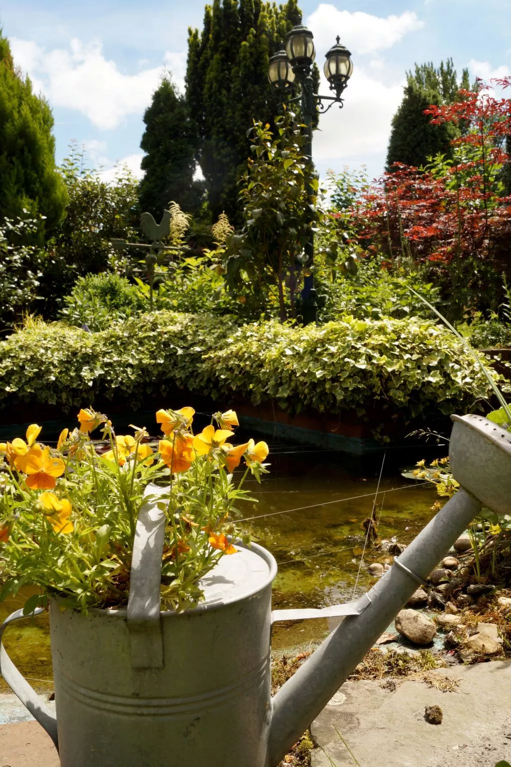  in Marienhafe-Dehors