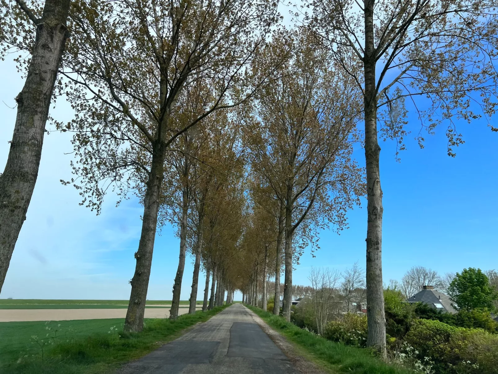 In Stavenisse mit gemütlicher Terrasse-Draußen