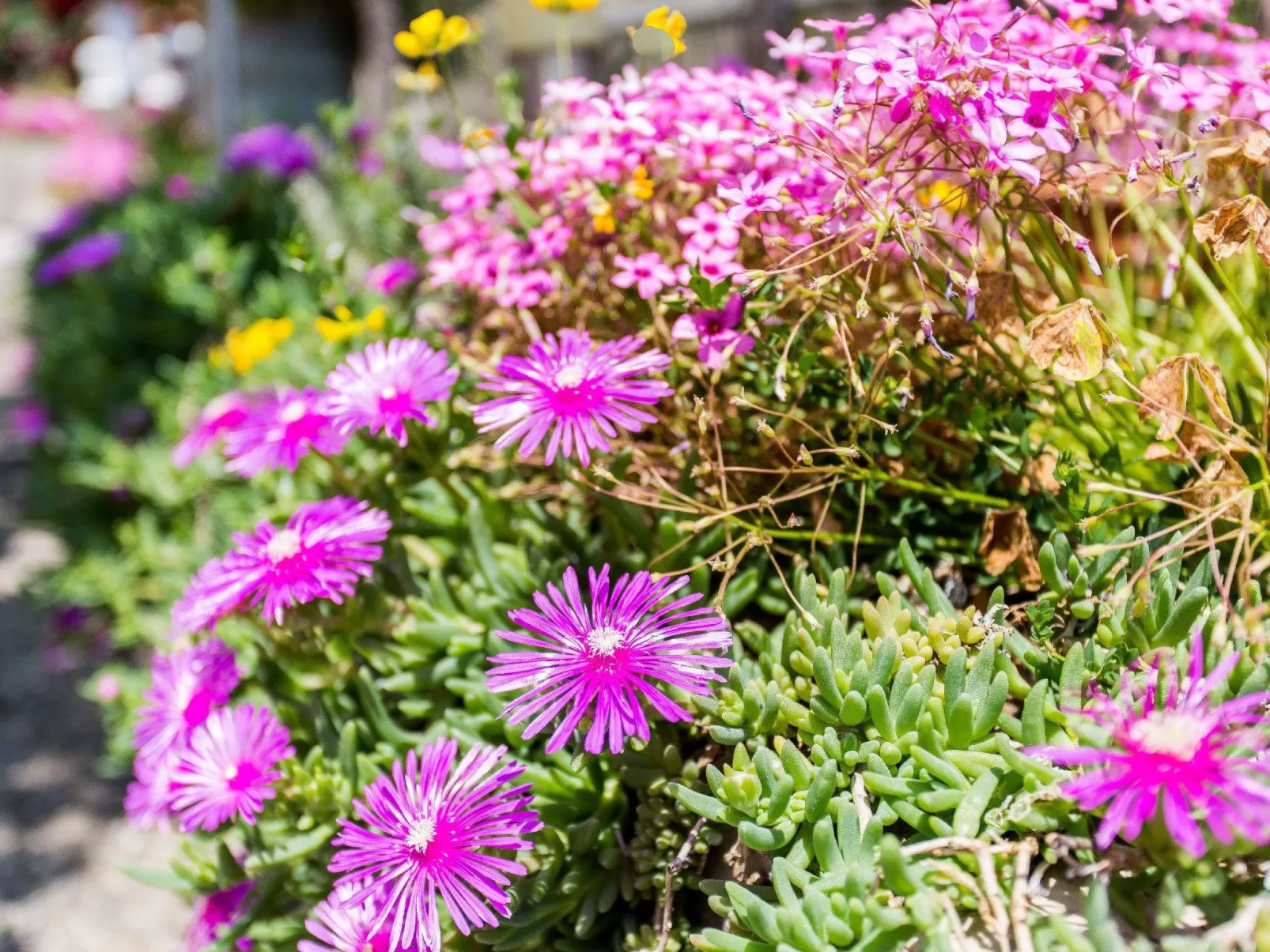 Moderne Wohnung Grzetic-Dehors