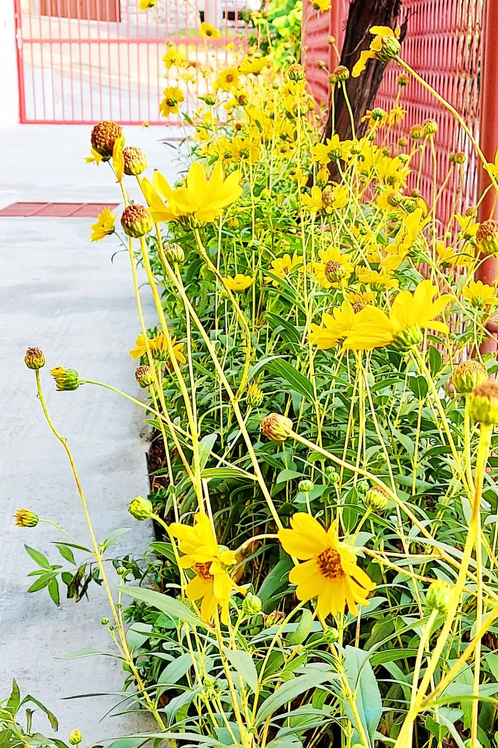 Holiday House Jure-Outside