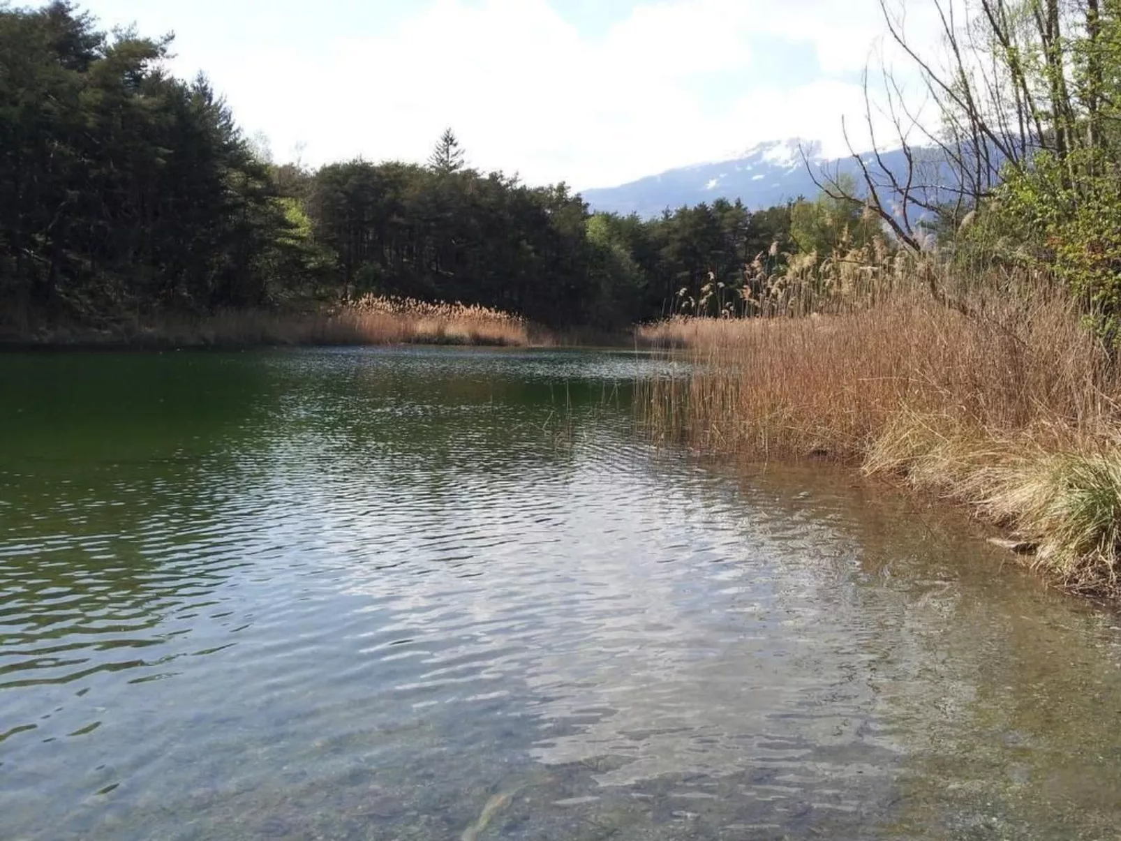 Wärschu-Image-tags.info