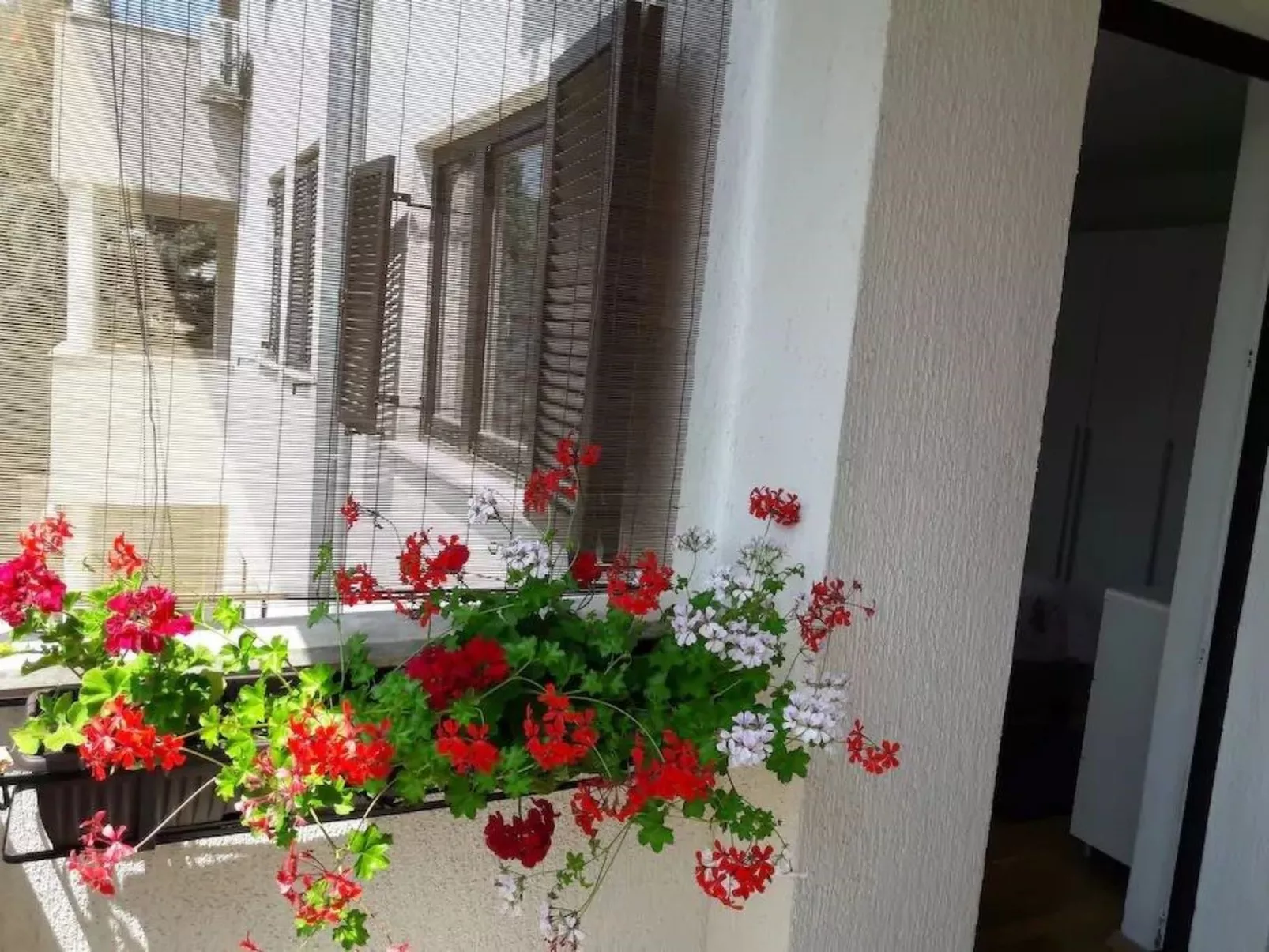 Wohnung mit Garten in der Nähe des Zentrums-Draußen