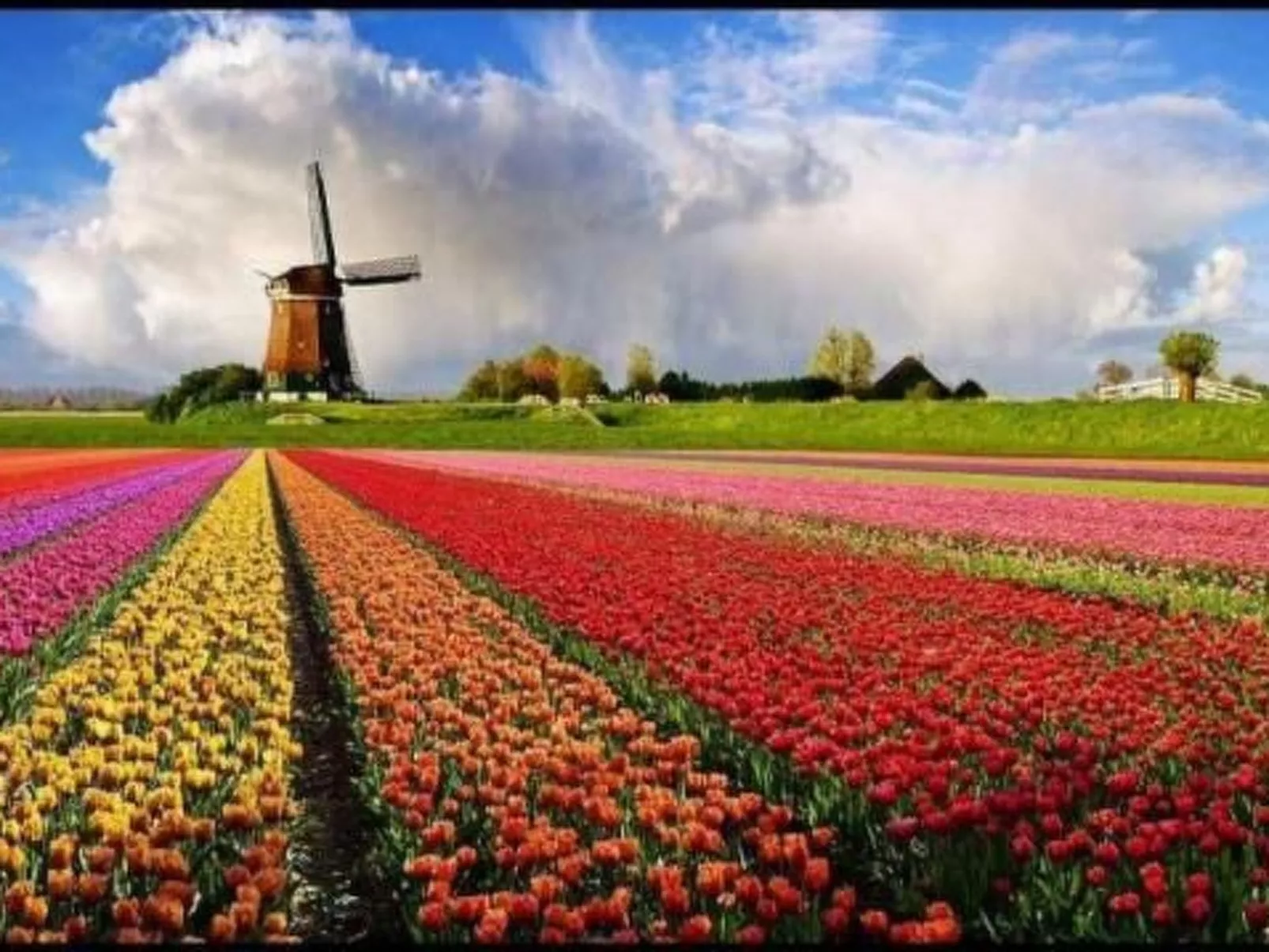 Gemütlicher Bungalow für 4 Personen-Draußen