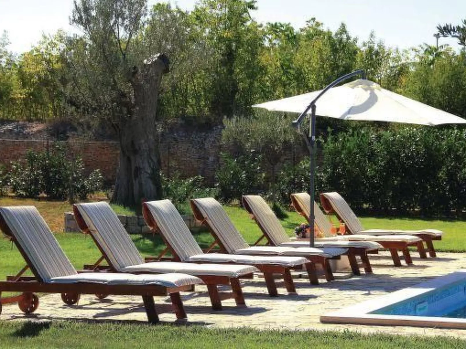 Luxuriöse Villa mit riesigem Olivenbaum-Garten, Sonnenterrasse, großem Pool und-Draußen