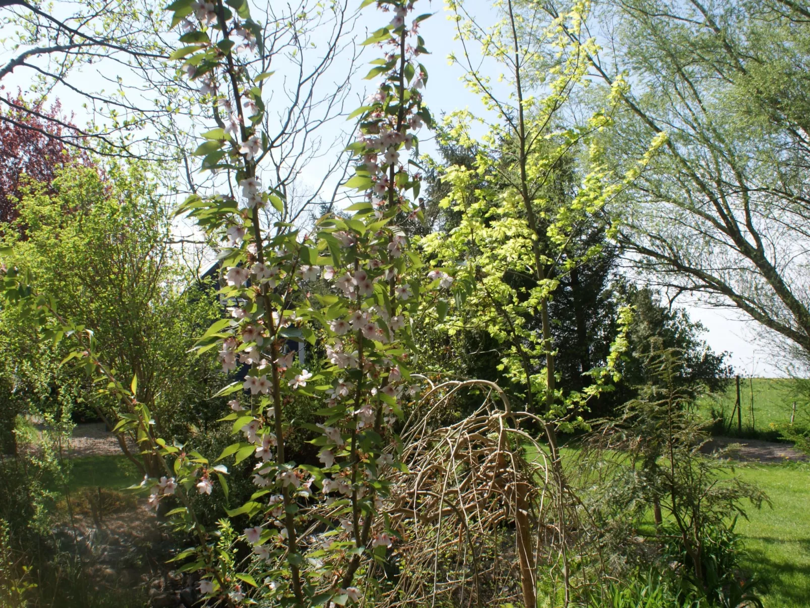 Ruhe am Meer - Ferienhäuser in den Gärten von Magra-Draußen