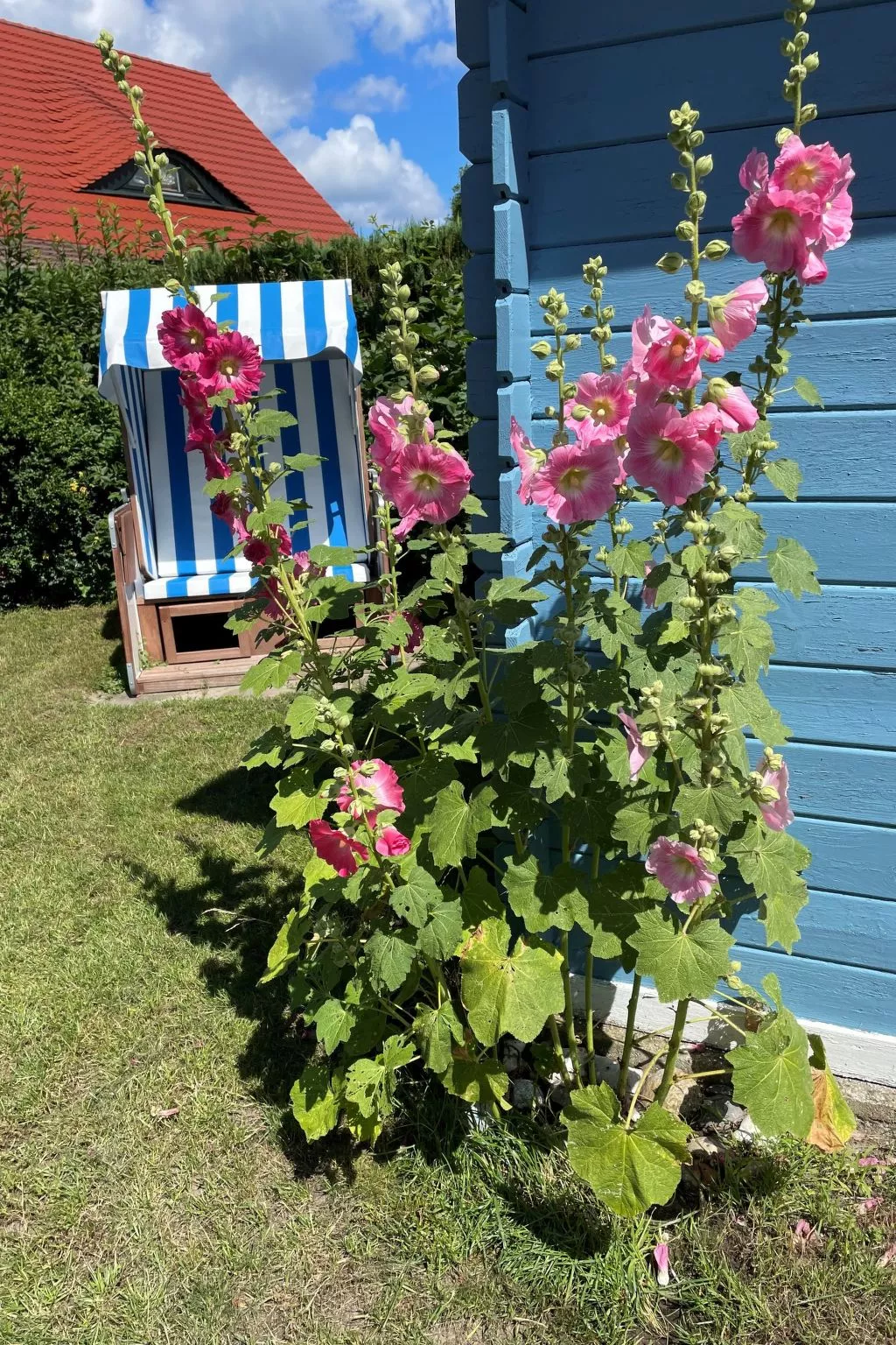 Haus am Meer 3-Dehors